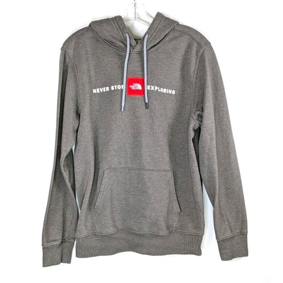 The North Face Mens Sweatshirt Hoodie Medium Gray - Picture 1 of 9